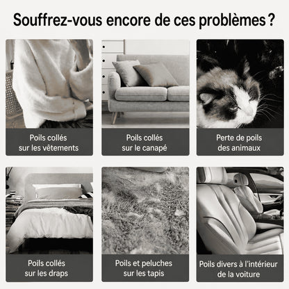Brosse Anti-Poils Réutilisable — Canapé, Vêtements, Voiture & Tapis