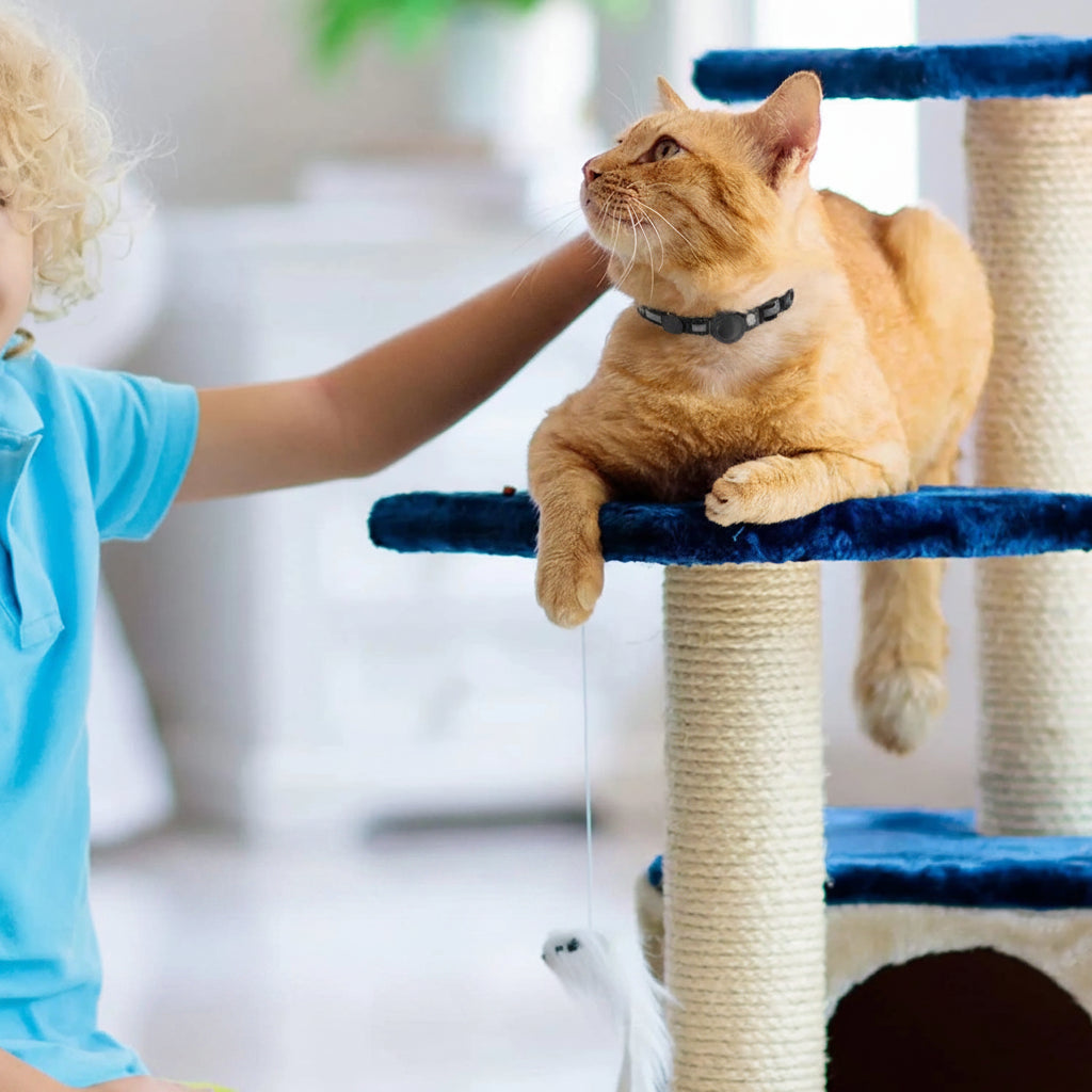 Collier pour Chat avec Étui Traceur Compatible AirTag — Réfléchissant, Ajustable & Sécurisé